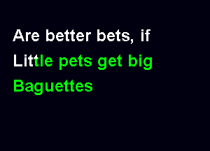 Are better bets, if
Little pets get big

Baguettes