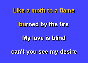 Like a moth to a flame
burned by the fire

My love is blind

can't you see my desire