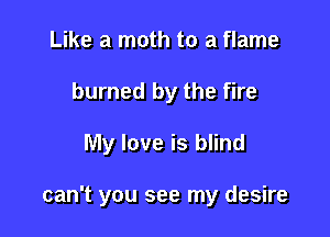 Like a moth to a flame
burned by the fire

My love is blind

can't you see my desire