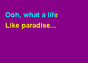 Ooh, what a life
Like paradise...