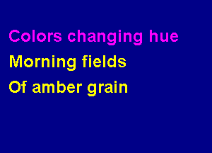 Morning fields

Of amber grain