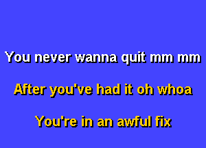 You never wanna quit mm mm

After you've had it oh whoa

You're in an awful fix