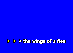 . .u. t the wings of a flea