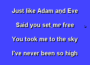 Just like Adam and Eve

Said you set.me free

You took me to the sky

I've never been so high