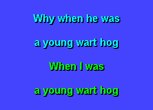 Why when he was
a young wart hog

When I was

a young wart hog