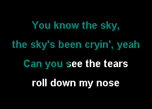 You know the sky,
the sky's been cryin', yeah

Can you see the tears

roll down my nose