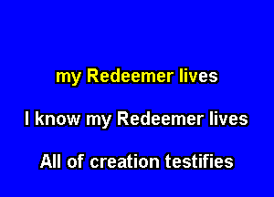 my Redeemer lives

I know my Redeemer lives

All of creation testifies