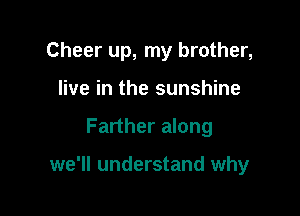 Cheer up, my brother,
live in the sunshine

Farther along

we'll understand why