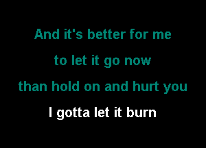 And it's better for me

to let it go now

than hold on and hurt you

I gotta let it burn