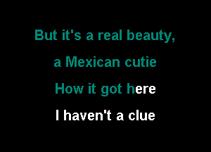 But it's a real beauty,

a Mexican cutie
How it got here

I haven't a clue