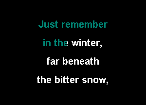 Just remember
in the winter,

far beneath

the bitter snow,