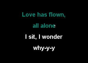 Love has flown,
all alone

I sit, I wonder

why-y-y