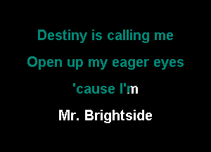 Destiny is calling me

Open up my eager eyes

'cause I'm

Mr. Brightside