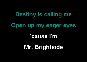 Destiny is calling me

Open up my eager eyes

'cause I'm

Mr. Brightside