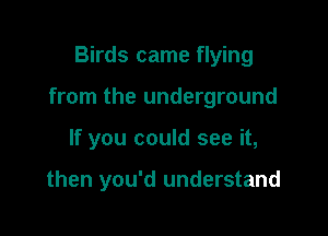 Birds came flying

from the underground

If you could see it,

then you'd understand