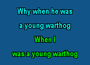 Why when he was

a young warthog
When I

was a young warthog
