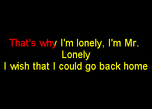 That's why I'm lonely, I'm Mr.
Lonely

I wish that I could go back home