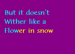 But it doesn't
Wither like a

Flower in snow