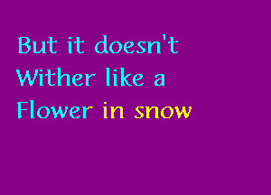 But it doesn't
Wither like a

Flower in snow
