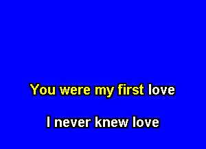 You were my first love

I never knew love