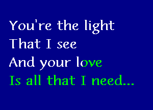 You're the light
That I see

And your love
Is all that I need...