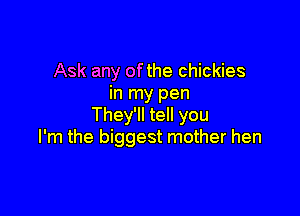 Ask any ofthe chickies
in my pen

They'll tell you
I'm the biggest mother hen