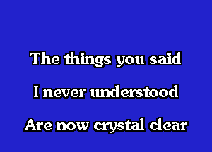 The things you said

I never understood

Are now crystal clear