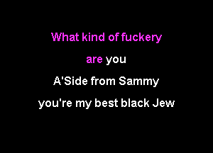 What kind offuckery

are you

A'Side from Sammy

you're my best black Jew