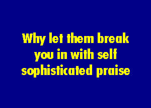 Why lel Ihem break

you in wilh sell
sophislimled praise
