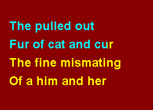 The pulled out
Fur of cat and our

The fine mismating
Of a him and her