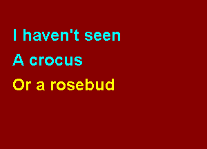 I haven't seen
A crocus

Or a rosebud