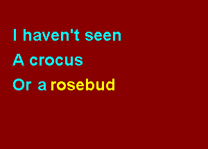 I haven't seen
A crocus

Or a rosebud