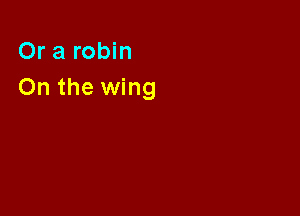 Or a robin
On the wing