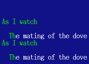 As I watch

The mating of the dove
As I watch

The mating of the dove