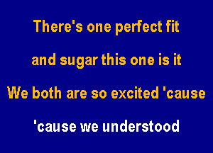 There's one perfect fit
and sugar this one is it
We both are so excited 'cause

'cause we understood