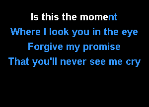 Is this the moment
Where I look you in the eye
Forgive my promise

That you'll never see me cry