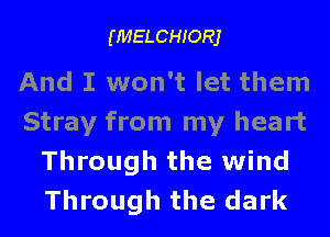 (MELCHIORJ

And I won't let them
Stray from my heart

Through the wind
Through the dark