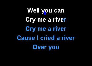 Well ylpu can
Cry me a river
Cry me a river

Cause I cried a river
Over you