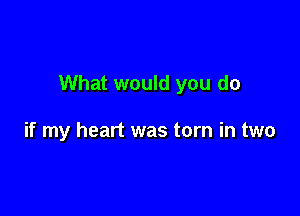 What would you do

if my heart was torn in two