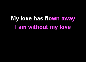 My love has flown away
I am without my love