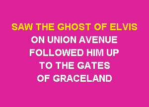SAW THE GHOST 0F ELVIS
0N UNION AVENUE
FOLLOWED HIM UP

TO THE GATES
0F GRACELAND