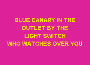BLUE CANARY IN THE
OUTLET BY THE
LIGHT SWITCH
WHO WATCHES OVER YOU