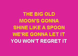 THE BIG OLD
MOON'S GONNA
SHINE LIKE A SPOON
WE'RE GONNA LET IT
YOU WON'T REGRET IT