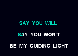 SAY YOU WILL

SAY YOU WON'T

BE MY GUIDING LIGHT