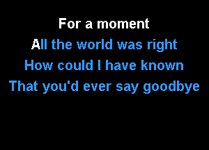 For a moment
All the world was right
How could I have known

That you'd ever say goodbye