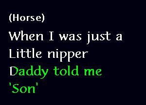 (Horse)

When I was just a

Little nipper

Daddy told me
'Son'