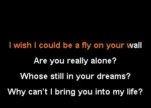lwish I could be a f1y on your wall
Are you really alone?

Whose still in your dreams?

Why canyt I bring you into my life?