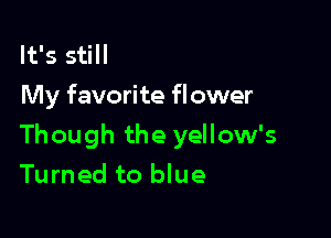 It's still
My favorite flower

Though the yellow's

Turned to blue