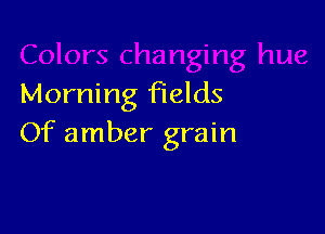 Morning fields

Of amber grain