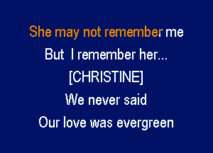 She may not remember me
But I remember her...

ICHRISTINEI
We never said

Our love was evergreen
